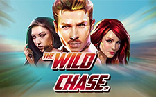 Игровой автомат Wild Chase